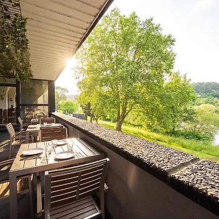 Mice Collection Business- Und Stadthotel An Der Mosel Nahe Swt Arena Und Viking Anleger